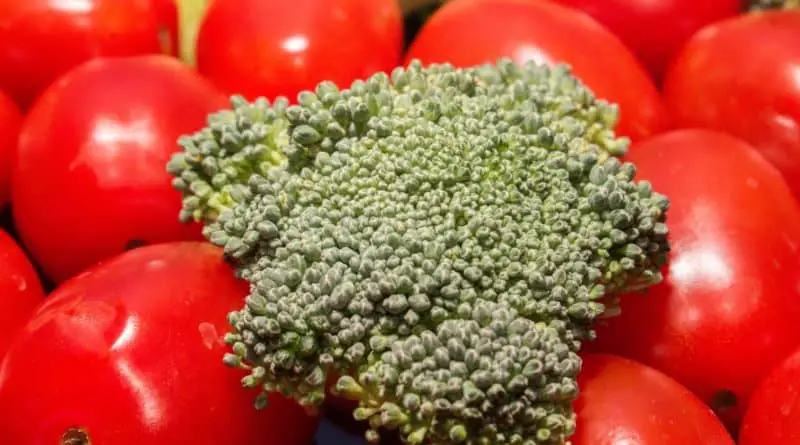 Comer por los ojos cuáles son los mejores alimentos para la vista tomate brócoli