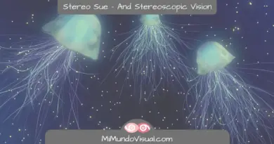 Stereo Sue, Susan Barry And Stereoscopic Vision - MiMundoVisual.com