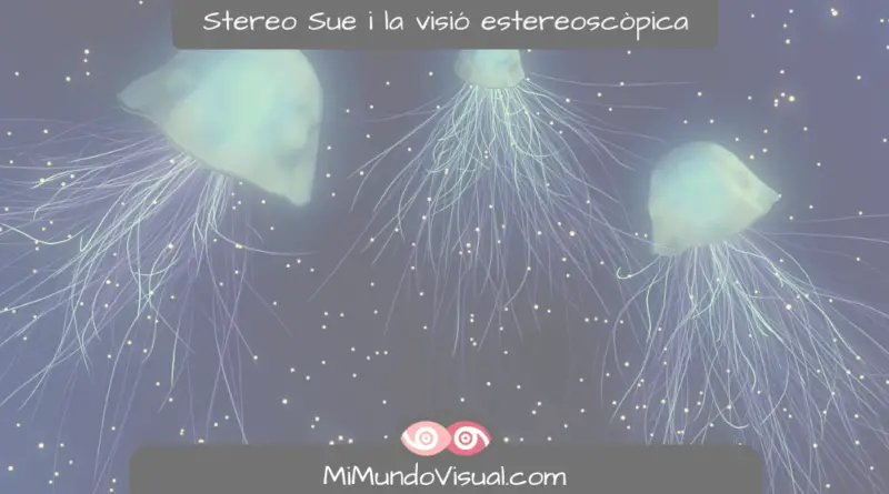 Stereo Sue, Susan Barry I La Visió Estereoscòpica - MiMundoVisual.com