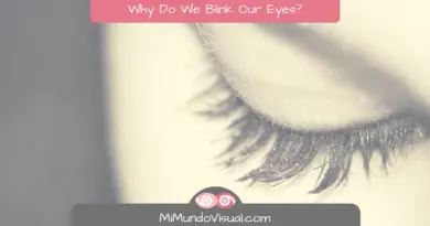 Why Do We Blink Our Eyes