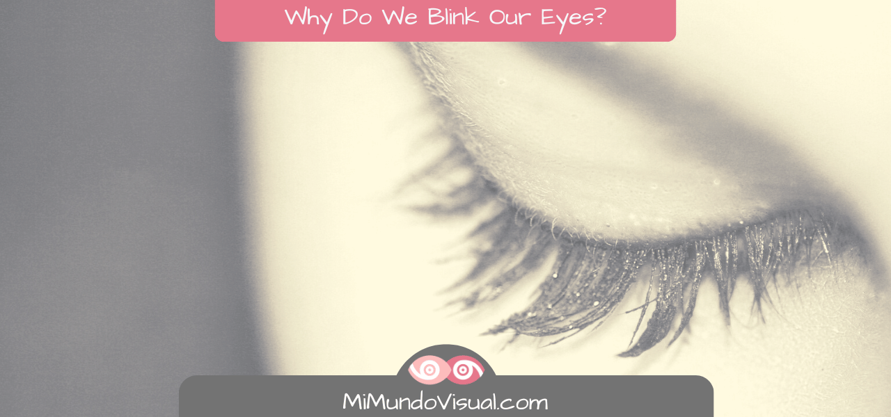 Why Do We Blink Our Eyes?