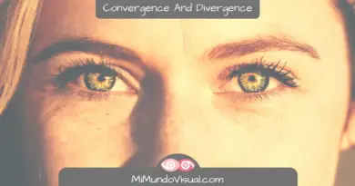 Convergence And Divergence In Vision Therapy