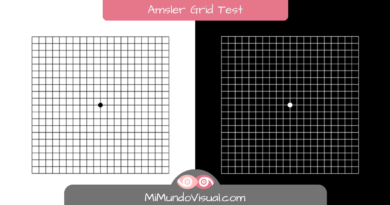 Amsler Grid Test