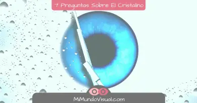7 Preguntas Sobre El Cristalino - mimundovisual.com