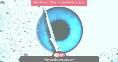 7 Questions About The Crystalline Lens