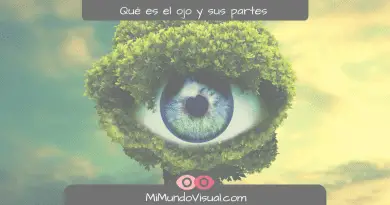 ¿Qué es el ojo y sus partes - mimundovisual.com