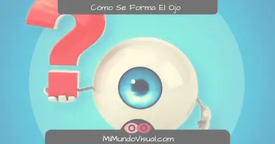 ¿Cómo Se Forma El Ojo - mimundovisual.com