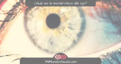 Cómo Se Llama La Parte Blanca De Los Ojos - mimundovisual.com