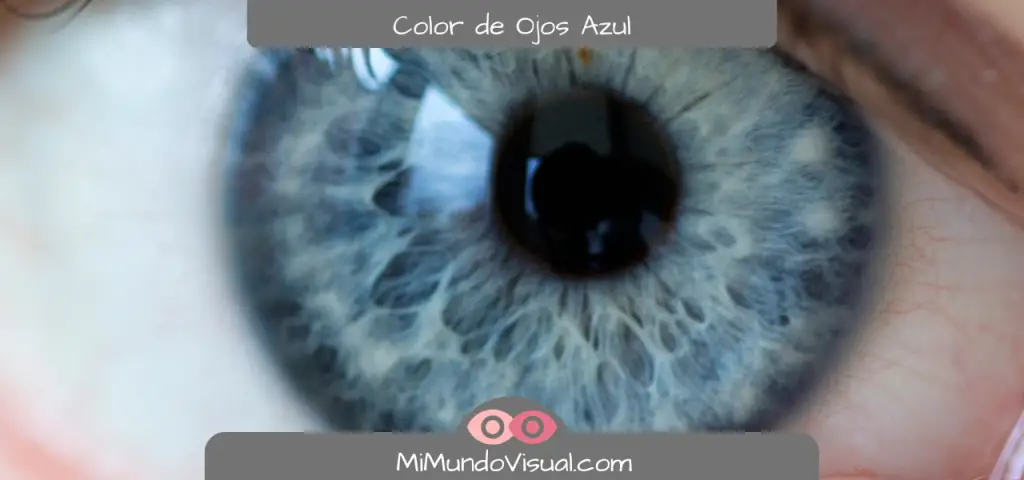¿Qué Color De Ojos Existen? - mimundovisual.com