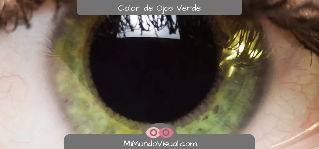 ¿Qué Color De Ojos Existen? - mimundovisual.com