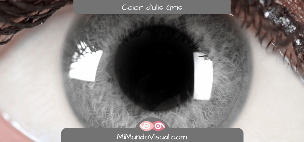 Quin Color D'Ulls Existeixen - mimundovisual.com