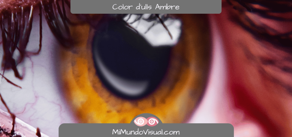 Quin Color D'Ulls Existeixen - mimundovisual.com