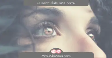 Quin És El Color D'Ulls Més Comú Al Món - MiMundoVisual.com