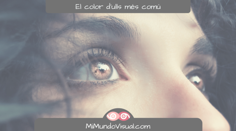 Quin És El Color D'Ulls Més Comú Al Món - MiMundoVisual.com
